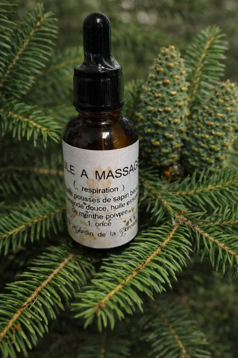 Balsam fir massage oil - Infused oil