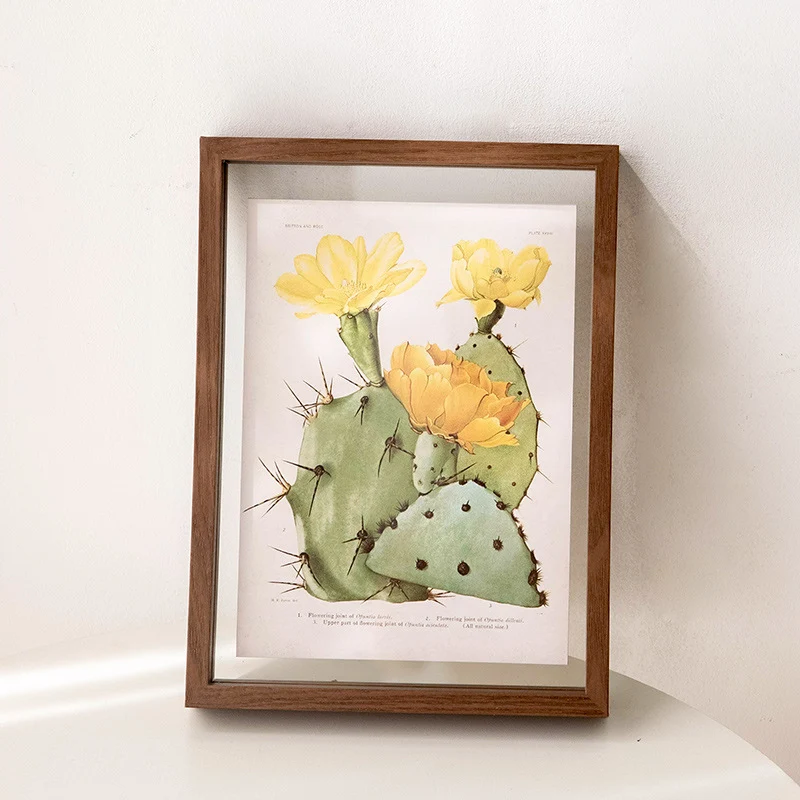 Botanische Illustrationswandrahmen
