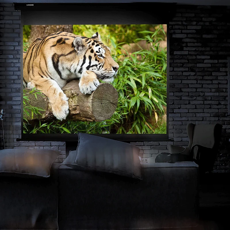 Duronic MPS80 Leinwand | 4:3 Rolloleinwand 80" Zoll 163 x 122 cm | Heimkino mit 4K Full HD 3D | Gain 1.0 | Projektionsleinwand für Decken und Wandmontage | Beamerleinwand für Büro und Präsentationen