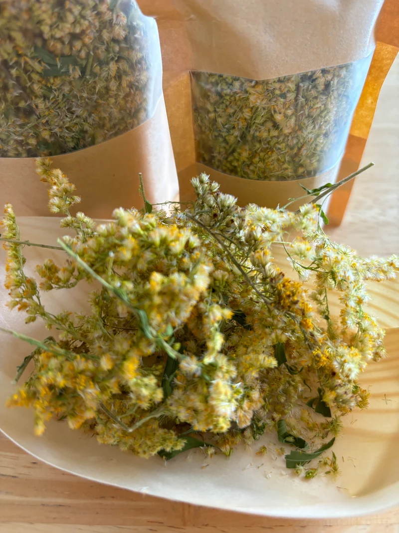 Goldenrod herbal tea