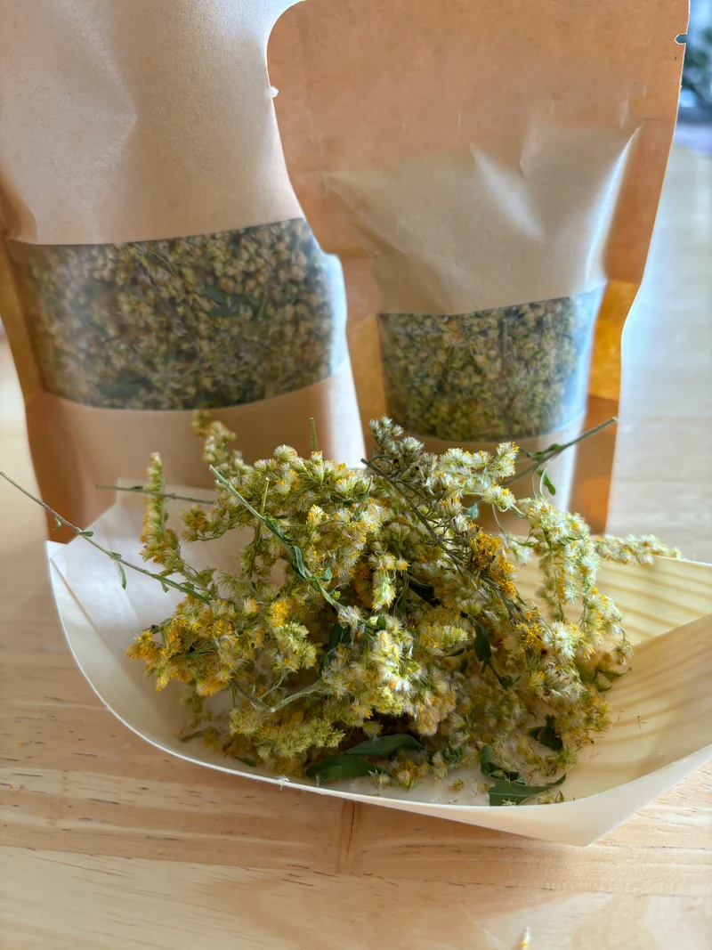 Goldenrod herbal tea