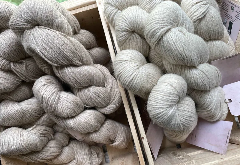 Baby Llama from Illimani yarn