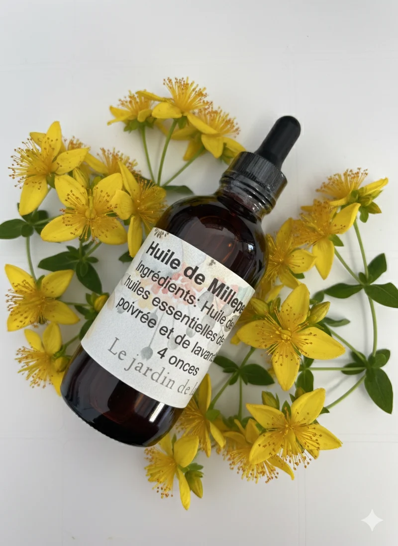 St. John's Wort Massage Oil – Macerated Oil – Red St. John's Wort Oil
