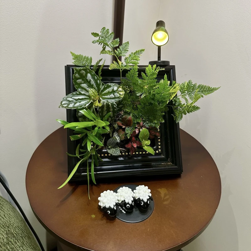 Dekorative Pflanze
