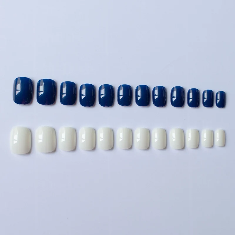 Elegantes Dual-Color-Nageldesign-Set