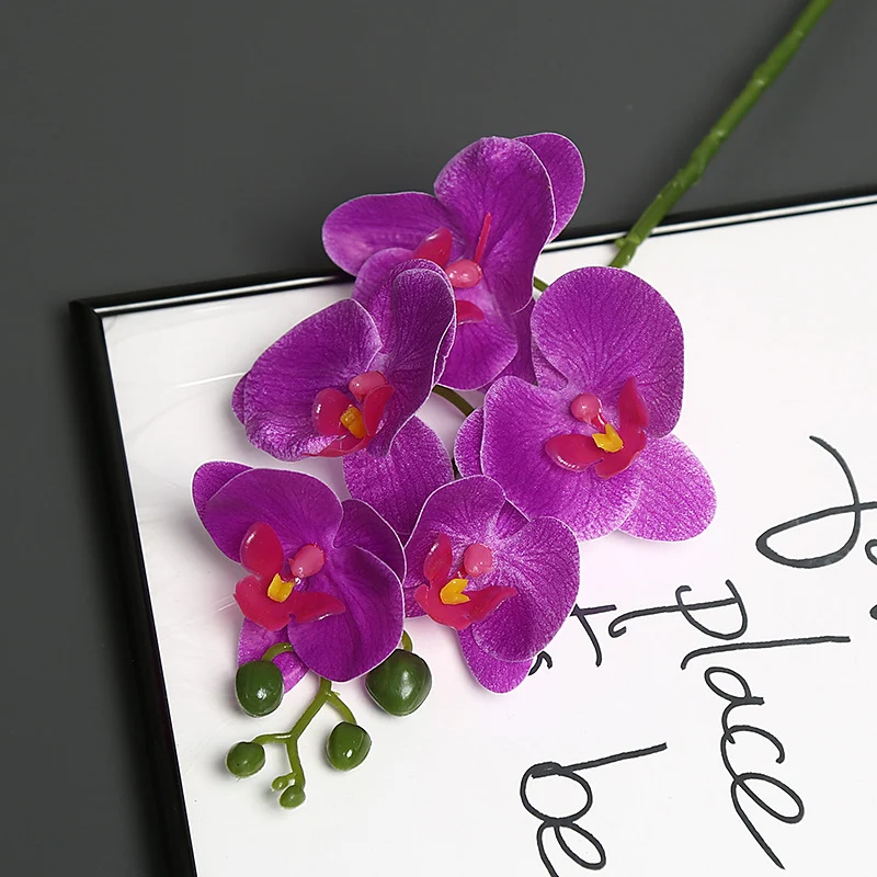Lebensechter Orchideenblütenstiel