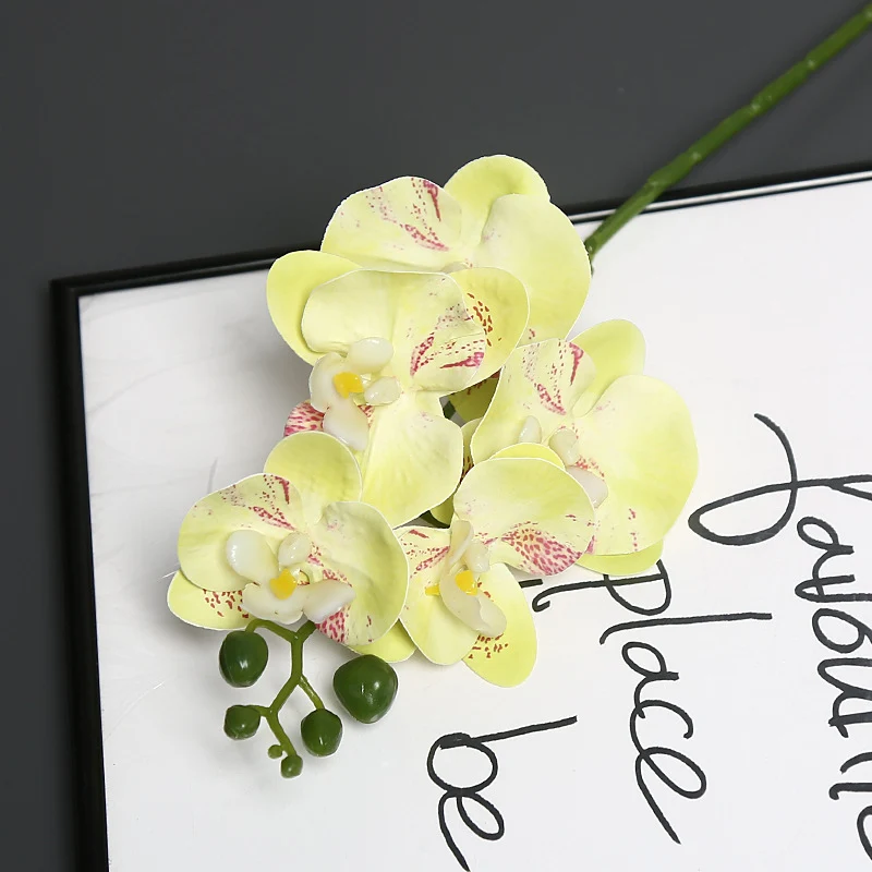 Lebensechter Orchideenblütenstiel
