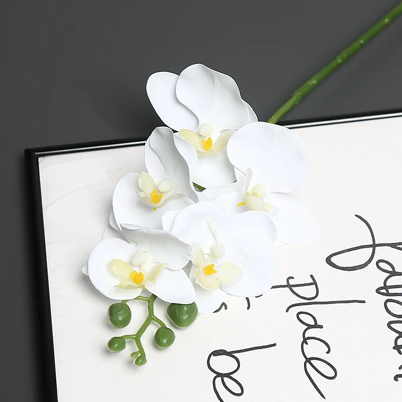 Lebensechter Orchideenblütenstiel