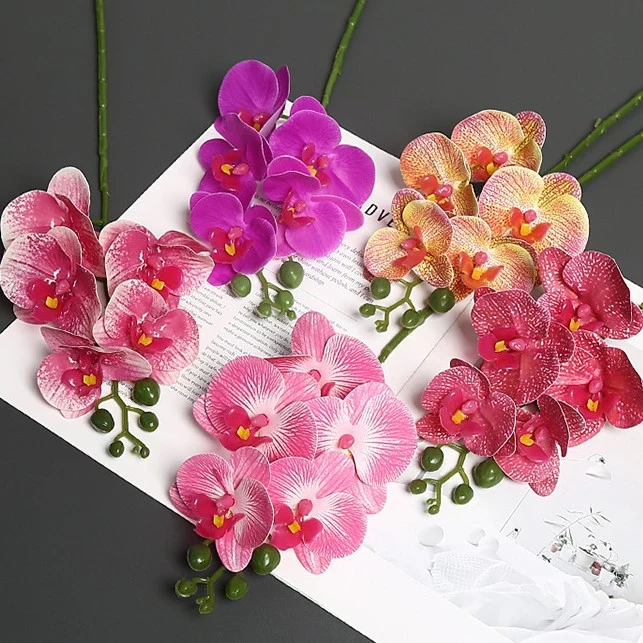Lebensechter Orchideenblütenstiel