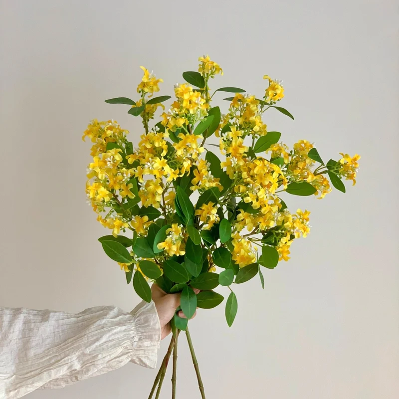 Dekorative Botanische Stängelanordnung