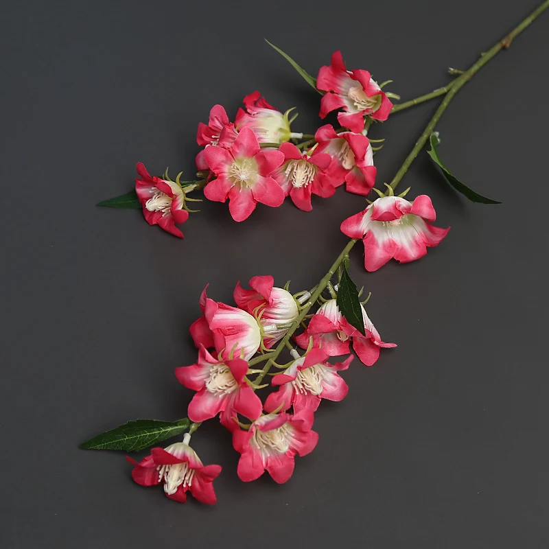 Florale Akzentstängel für die Wohnkultur-Darstellung