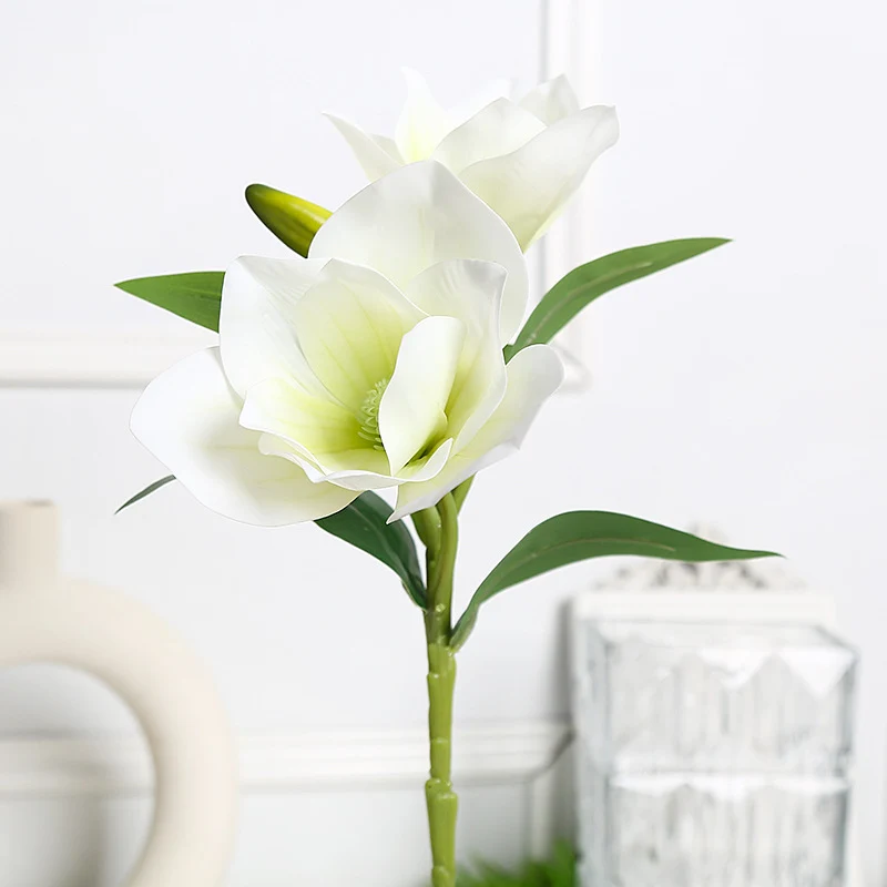 Elegantes Magnolien-Blumenarrangement für die Wohnkultur