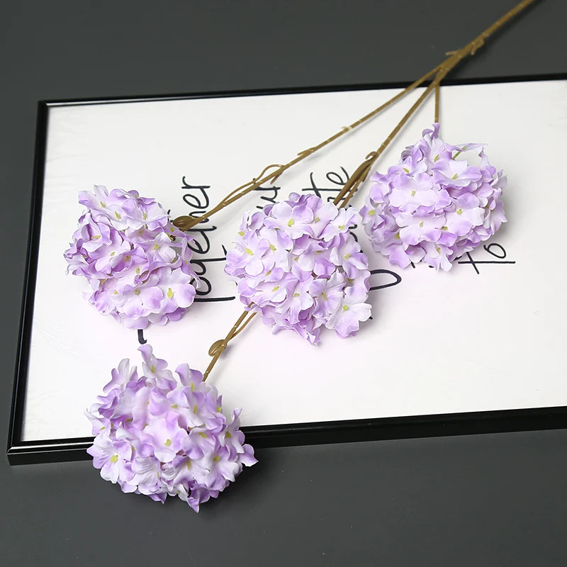 Dekorative getrocknete Blumenstängel für die Wohnkultur