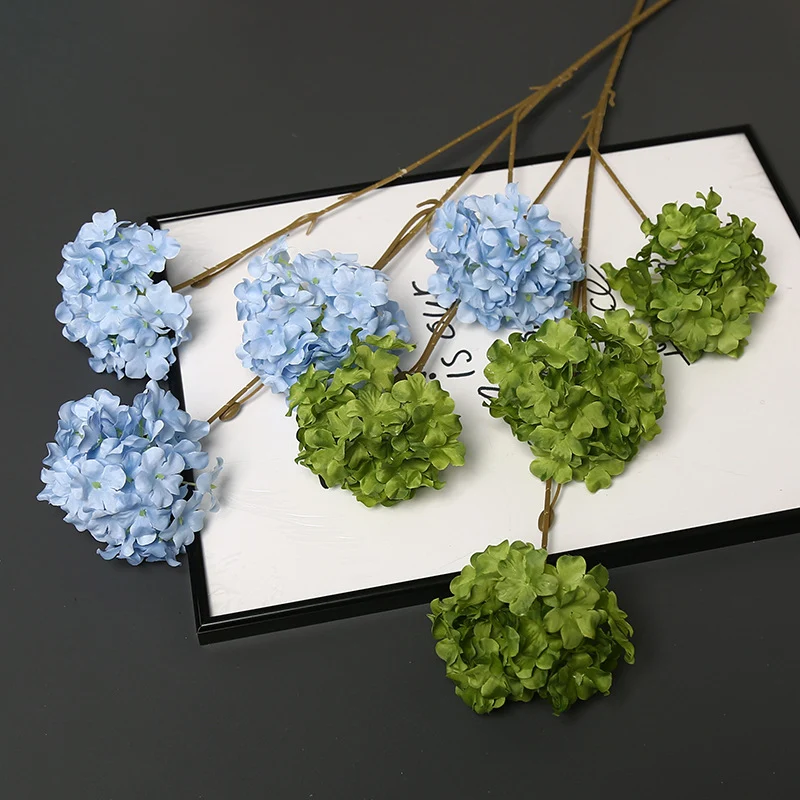 Dekorative getrocknete Blumenstängel für die Wohnkultur