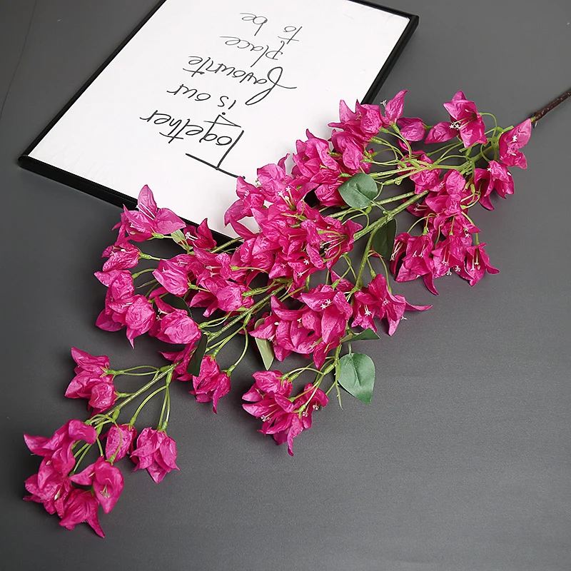 Bougainvillea Blumensstem für Wohnkultur-Display