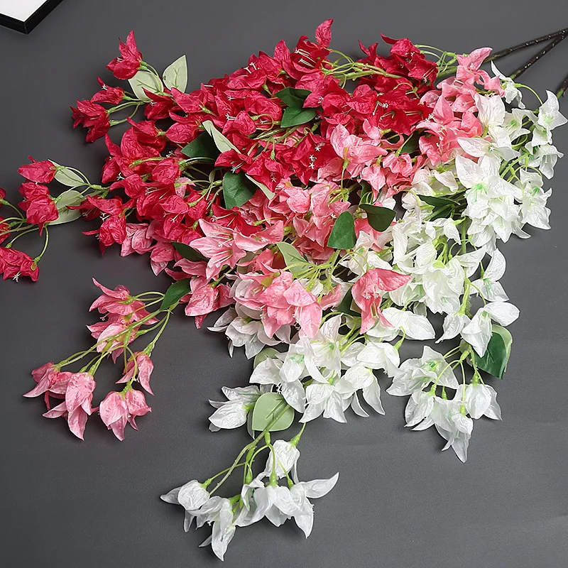 Bougainvillea Blumensstem für Wohnkultur-Display
