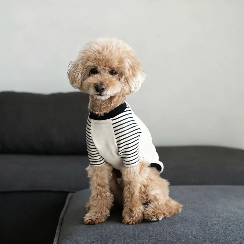 Gestreiftes Raglanärmel-Hund T-Shirt