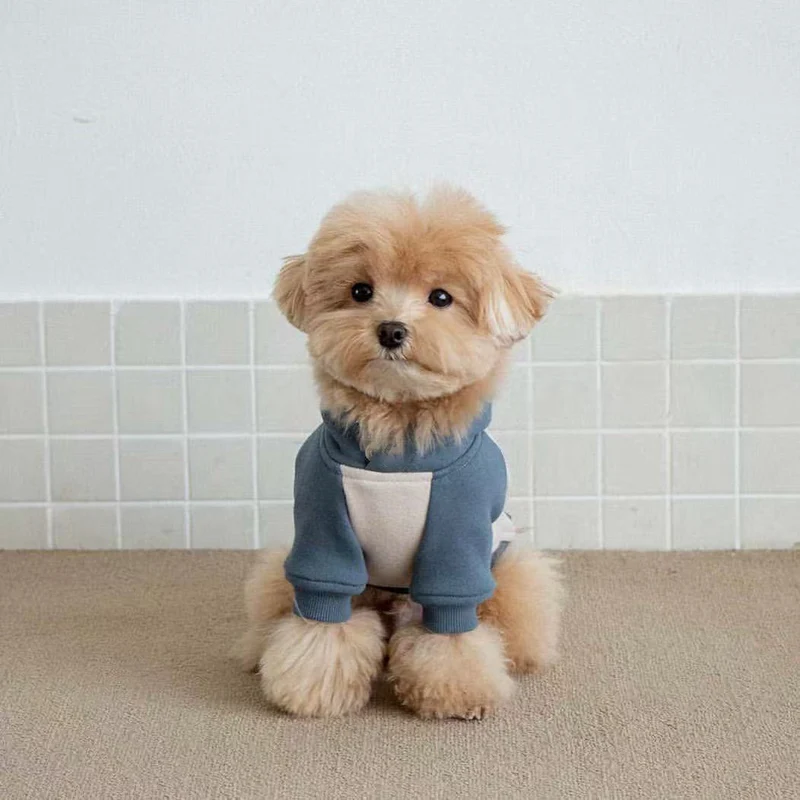 Klein Hund Fleece Hoodie mit Rippbündchen und Kapuze