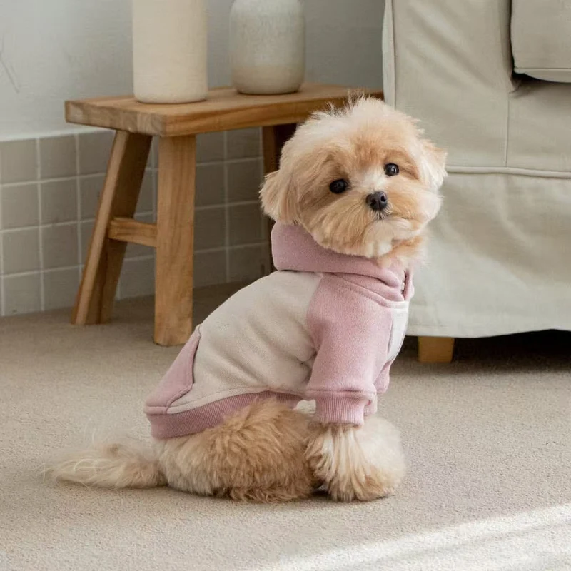 Klein Hund Fleece Hoodie mit Rippbündchen und Kapuze