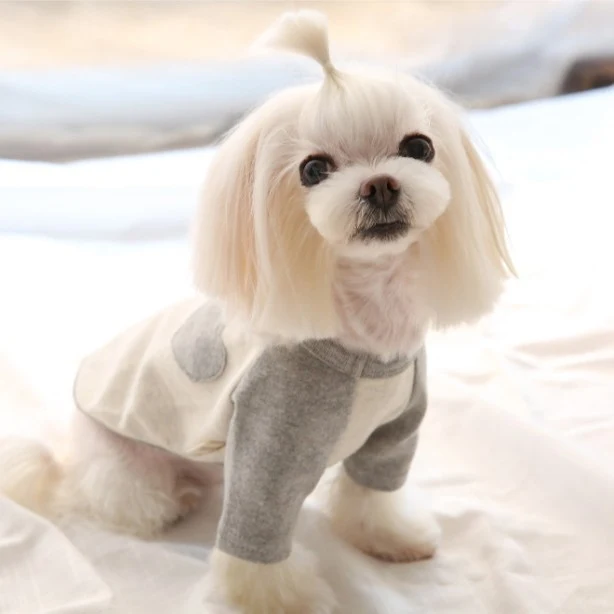 Kleine Hund Baumwoll-Fleece-T-Shirt mit Herz-Patch