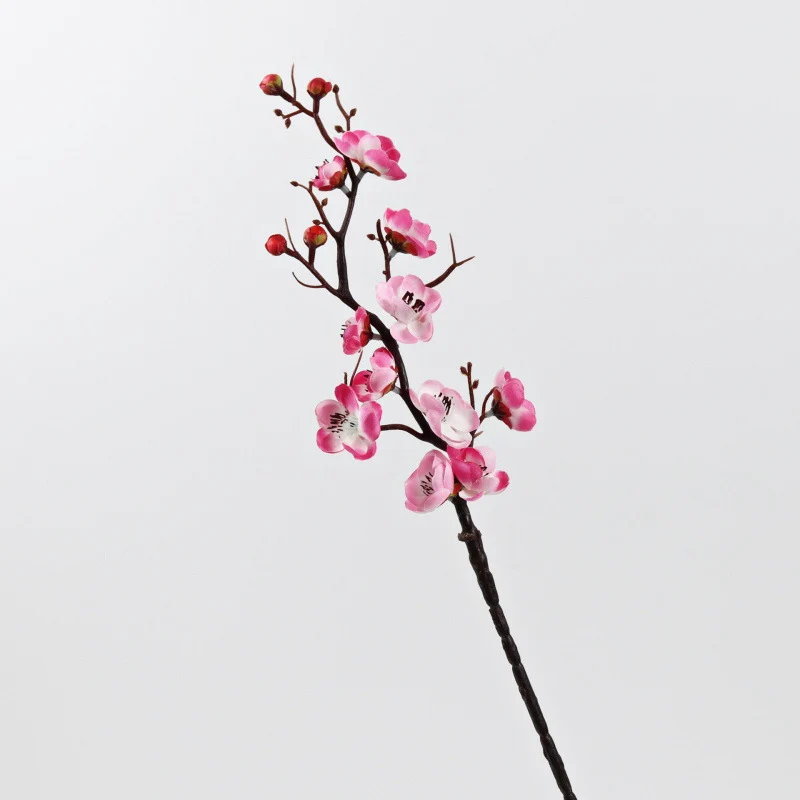Dekorative Blumenarrangement für die Hausdekoration