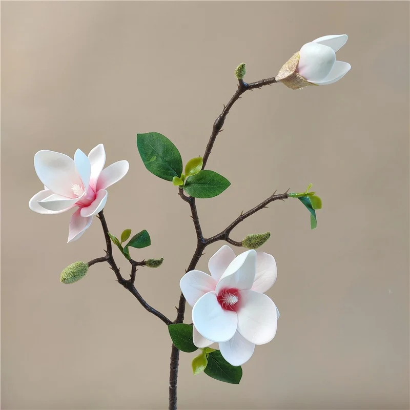 Elegante Seidenmagnolienblütenzweig