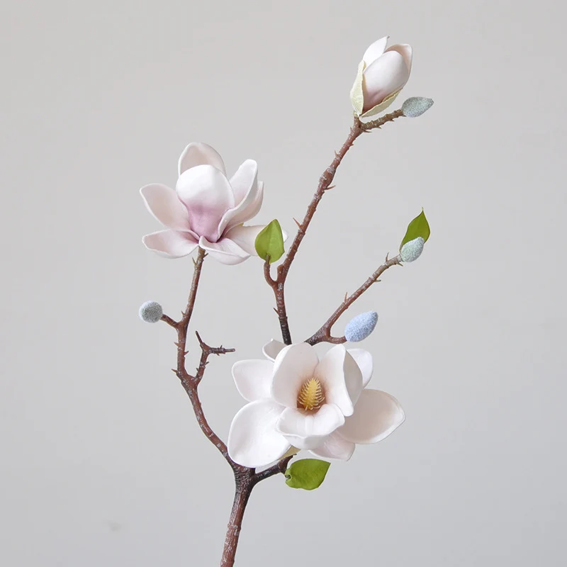Magnificent Seident magnolia blumenstiel