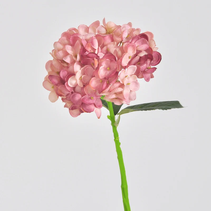 Elegante Kunsthortensienstängel