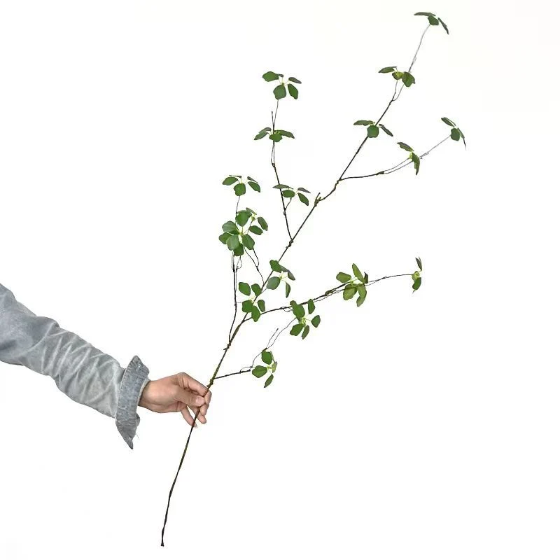 Dekorativer Blumenspross