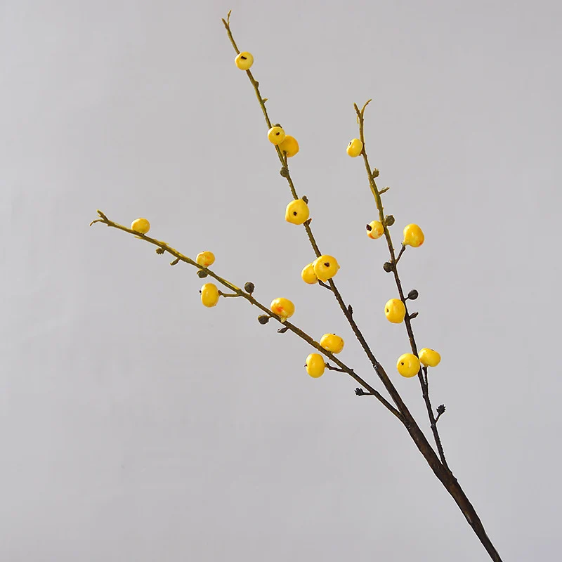 Dekorative Beerenzweig