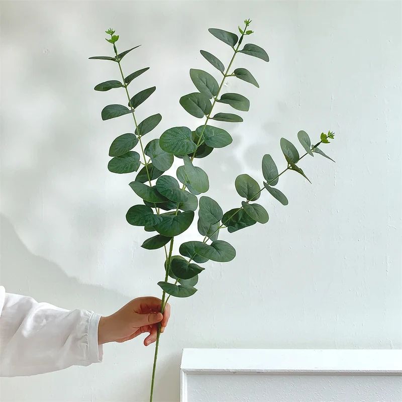 Dekorativer Eukalyptus-Stiel