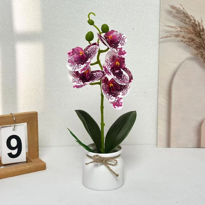 Lebensechte Orchideenpflanzenanordnung für die Innendekoration