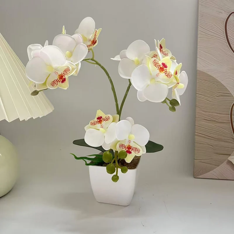 Lebensechte Orchideenpflanzenanordnung für die Heimpräsentation