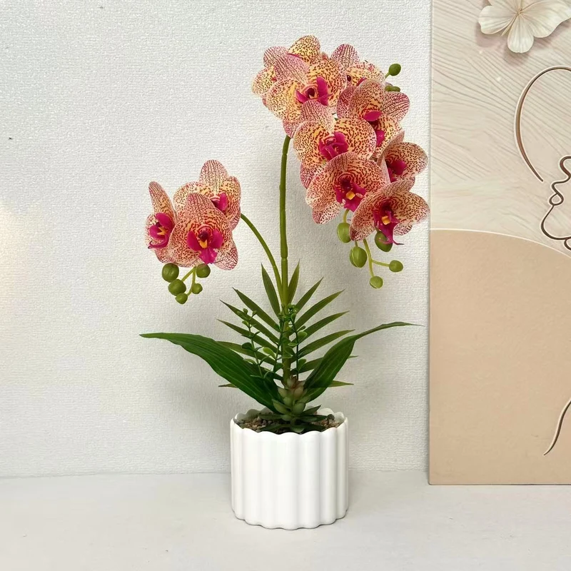 Lebensnahe Orchidee Wohnkultur für die Innendekoration