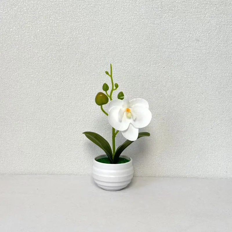 Lebensechte Orchideen Blumenkübel Dekoration