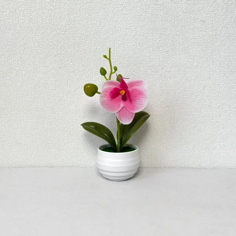 Lebensechte Orchideen Blumenkübel Dekoration
