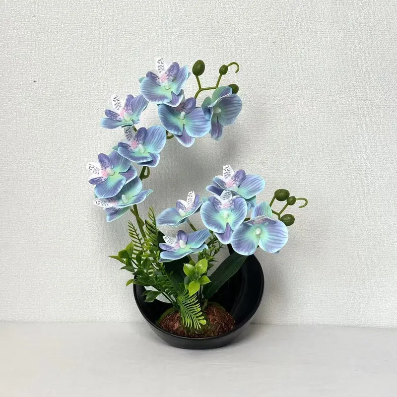 Lebensechte Orchideenblütenanzeige