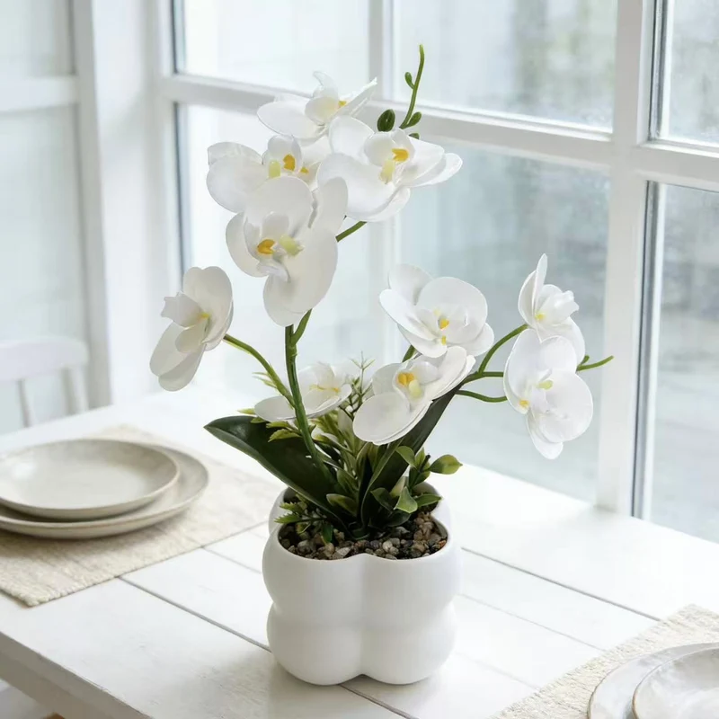 Lebensechte Orchideen-Blumenanzeige