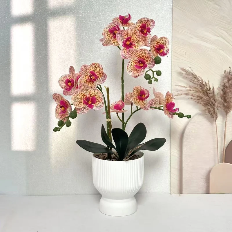 Lebensechte Orchideen Blumen Dekor