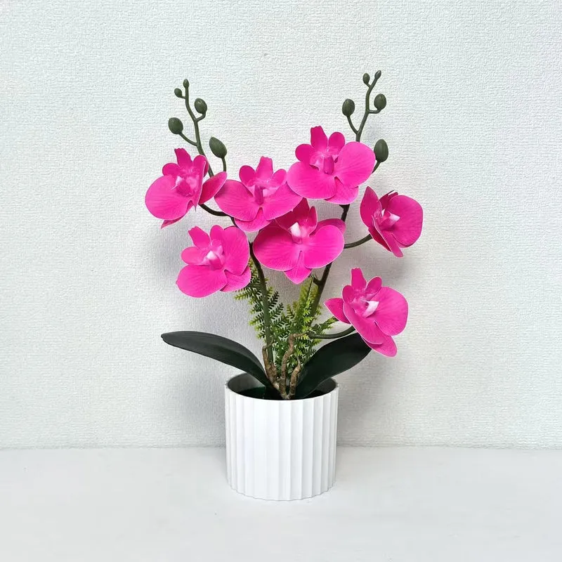 Realistische Orchideenpflanzenanordnung