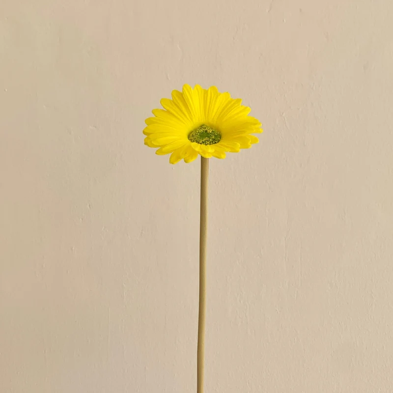 Dekorative künstliche Gerbera-Blume