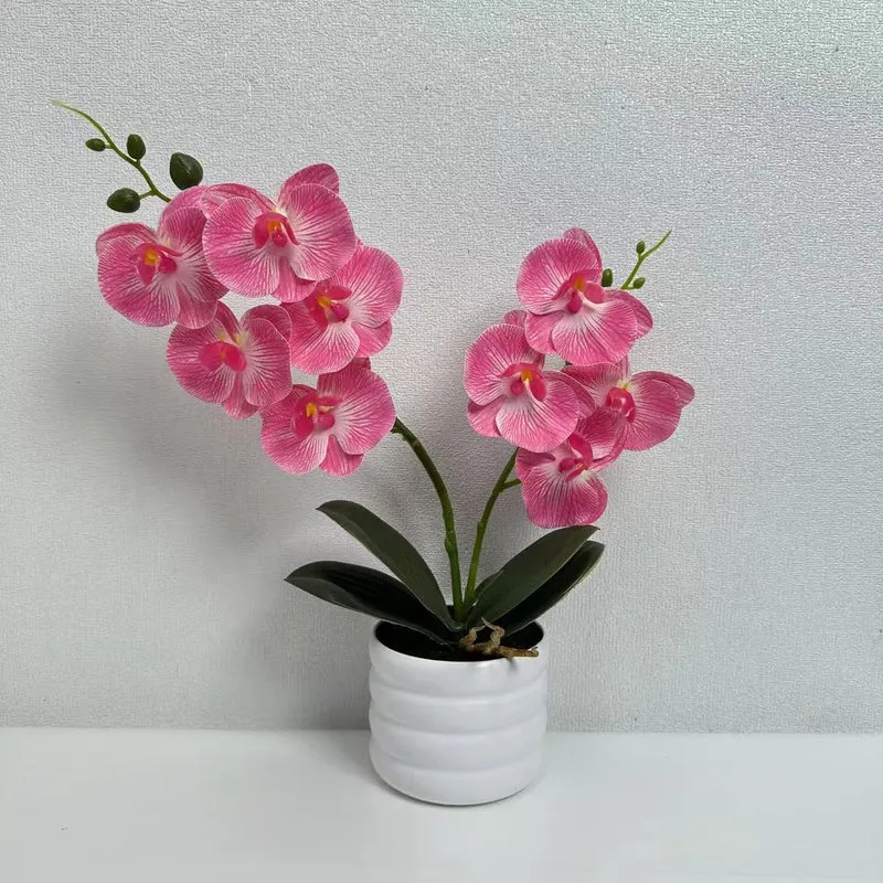 Lebensechte Orchideen Dekor