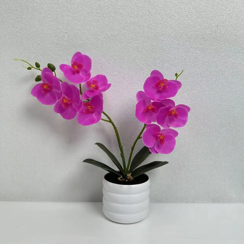 Lebensechte Orchideen Dekor