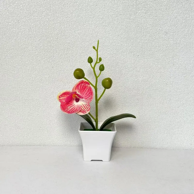 Lebensnahe Miniatur-Orchideenpflanze