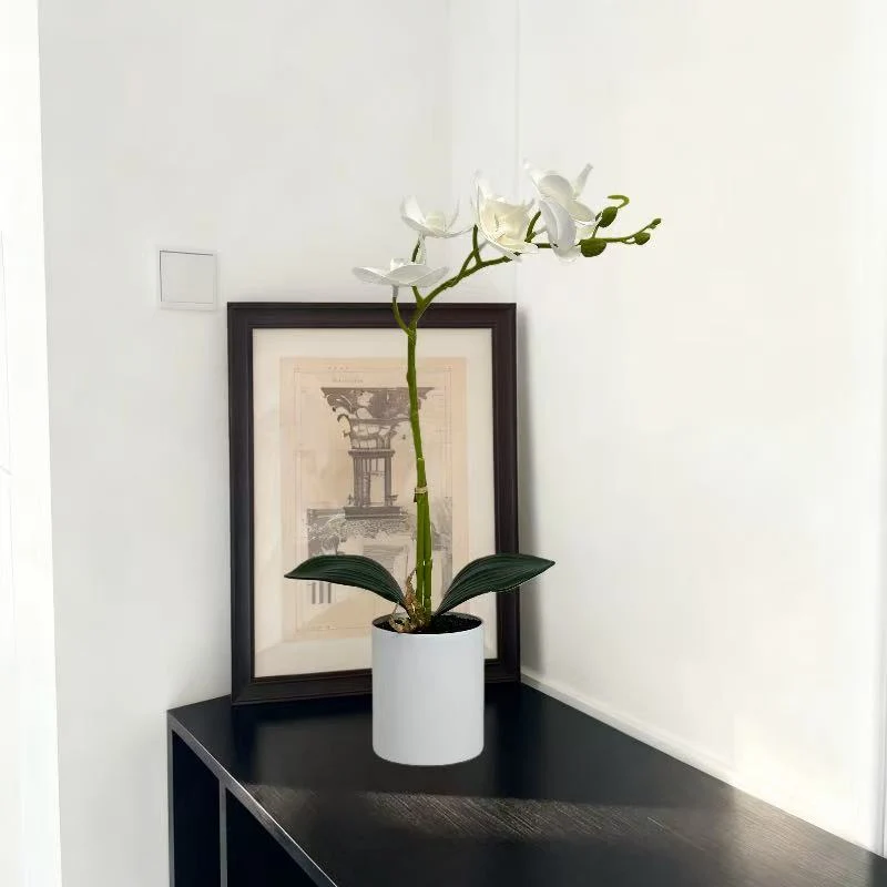 Realistische Künstliche Orchideenstängel