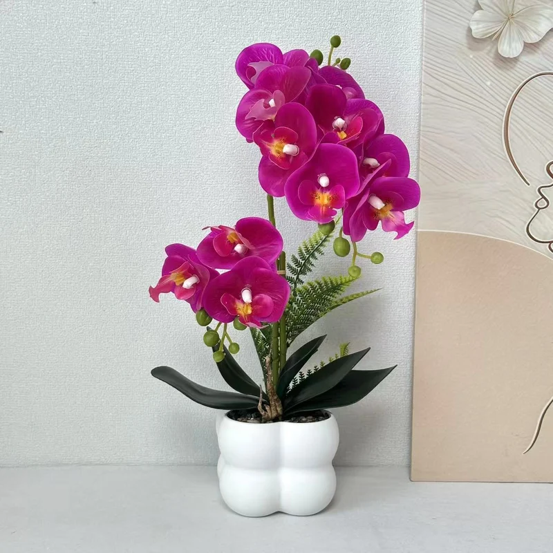 Premium lebensechte Orchideenpflanzenarrangement
