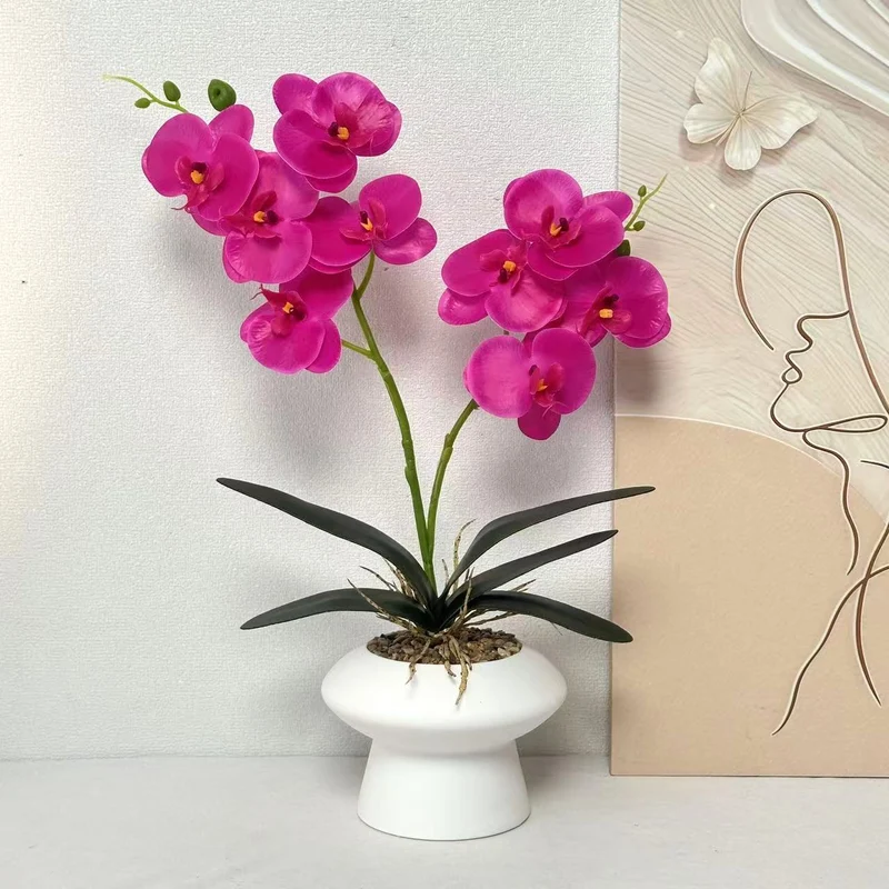 Dekorative Orchideenpflanze Tischmittelpunk