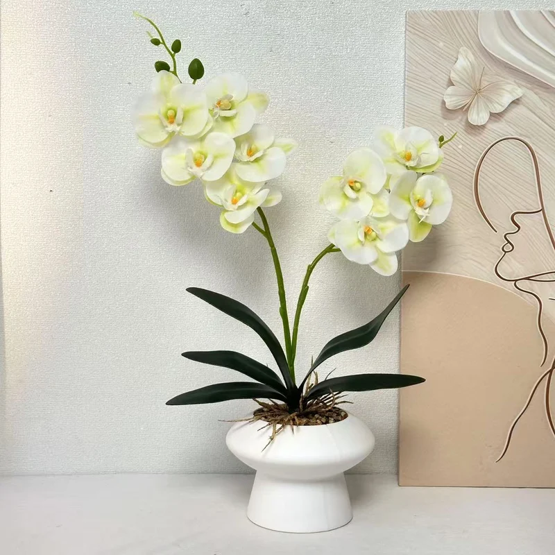 Dekorative Orchideenpflanze Tischmittelpunk