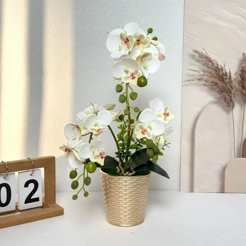 Dekorative Orchideenpflanze für Tischdeko