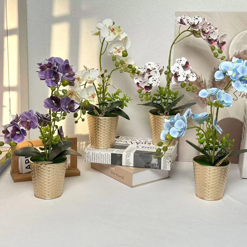 Dekorative Orchideenpflanze für Tischdeko
